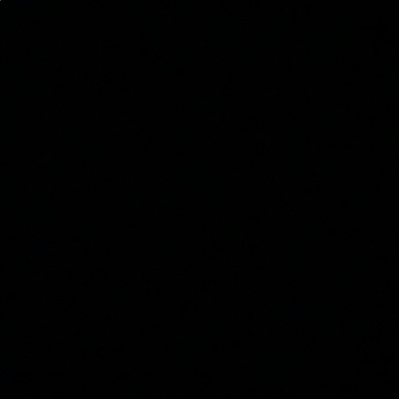 Meet your Posher, Ava - Picture 1 of 1